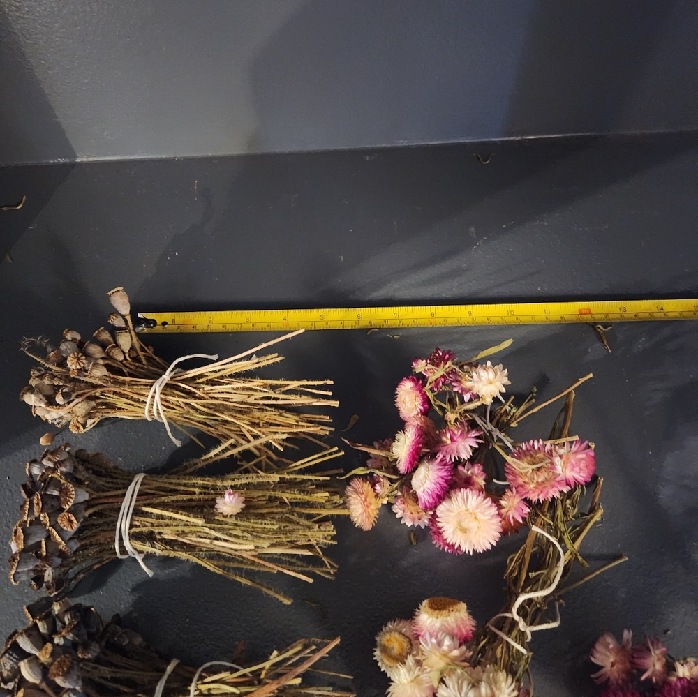 6 Little Real Dried Pod And Flower Bouquets. - Picture 9 of 9